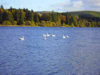 Lintrathen Reservoir